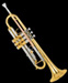 Trumpet Icon